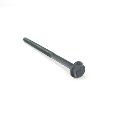 Болт головки Transit 2.0 TD / 2.4 / 3.2 TD 2000-2014 (10x160mm)