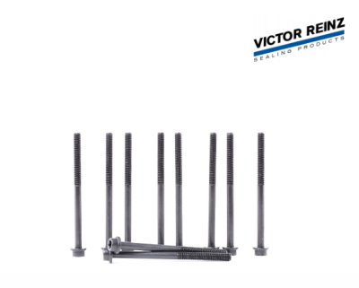 К-т болтов головки 1.8 / 2.0 / 2.3 Duratec / 2.0 Ecoboost