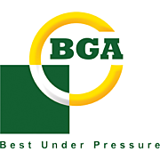 BGA