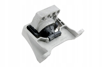 Focus-III / Escape / Kuga-II 2013- 2.0 Ecoboost / 2.5 Duratec (1742410)