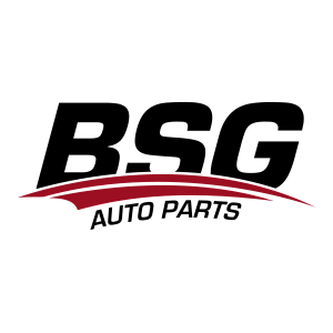 BSG